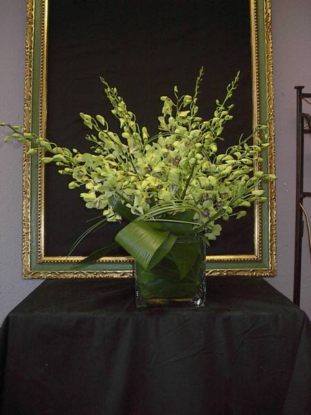 Inspiration from the Empty Vase, 