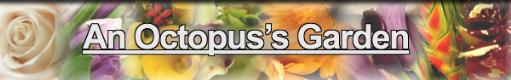 Las Vegas Flowers, Convention Flowers, Event Flowers, Banquet flowers, terrariums, air plants, succulents, plant displays