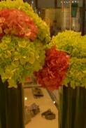 Roses, Trade show flower displays, exhibit deco, buffet centepiece, 