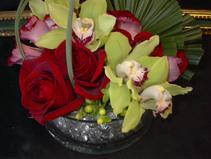 Floating cymbidium orchids