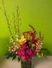 HD Expo Flowers