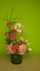 Rose Orchid Mix