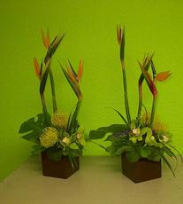 Trade show flowers, Birds of Paradise, protea flowers, exhibit decor, trade show booth flowers, convention florist, flower rentals for convention in Las Vegas, expo decor, 