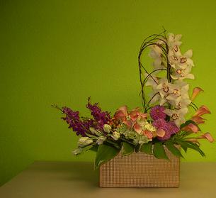 Premium flowers cymbidium orchids, and calla lilies #SpringFlowers