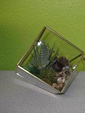 Terrarium | Big Impact Small Footprint