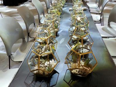 ?Big Impact Smal footprint | In Las Vegas, Premium  Terrariums and plants for your Convention display. E-mail us now.